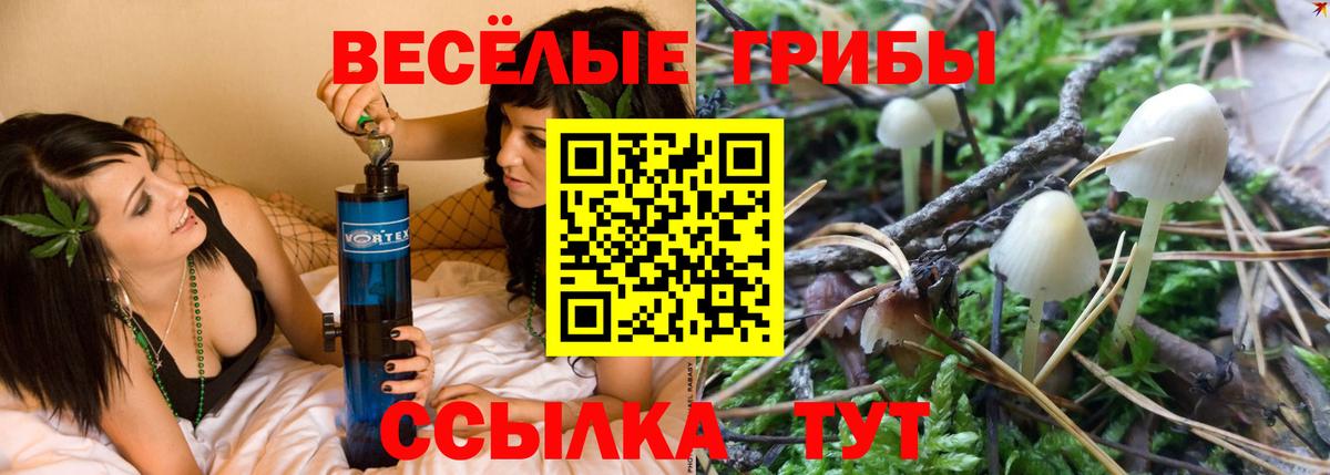 Псилоцибиновые грибы Psilocybine cubensis  купить наркотики сайты  Тобольск  Вход с VPN 